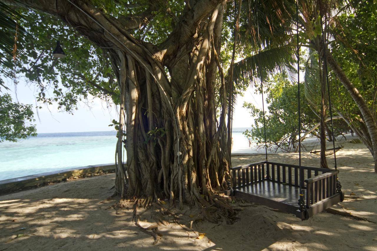 منتجع امبودو فيليدج Embudu Island المظهر الخارجي الصورة